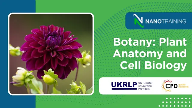 Botany: Plant Anatomy and Cell Biology