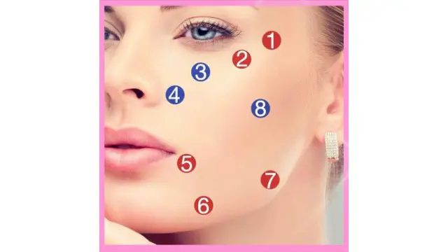 The 8-Point Facelift training course