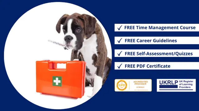 Dog First Aid Training