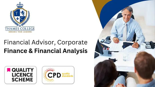 Financial Advisor, Corporate Finance & Financial Analysis
