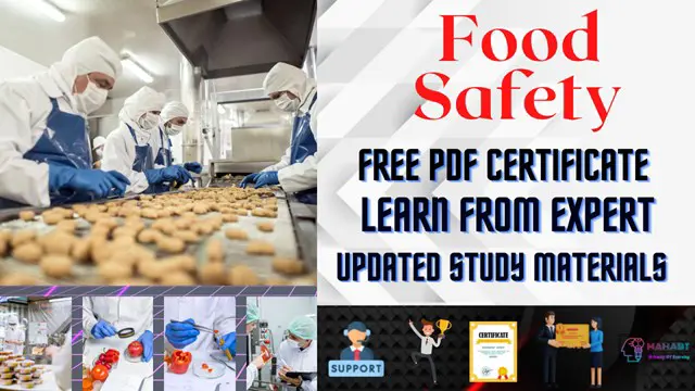  The Food Safety Training