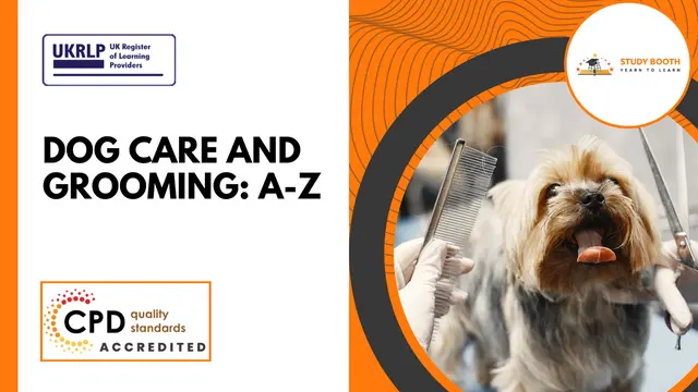 Dog Care and Grooming: A-Z (Updated 2023) (25-in-1 Unique Courses)