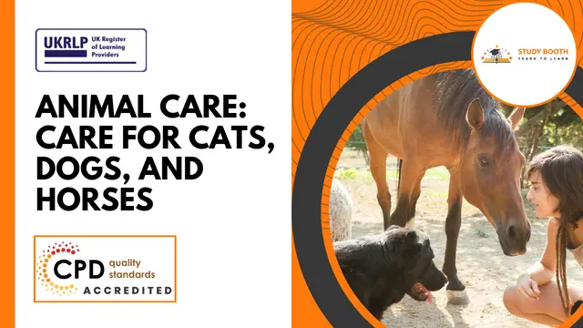 Animal Care: Care for Cats, Dogs, and Horses (25-in-1 Unique Courses)