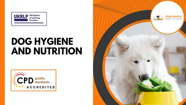 Dog Care: Dog Hygiene and Nutrition (25-in-1 Unique Courses)