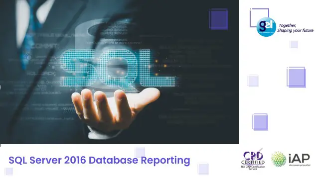 SQL Server 2016 Database Reporting