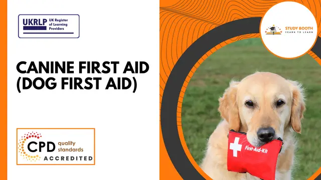 Canine First Aid (Dog First Aid) - CPD Certified (25-in-1 Unique Courses)