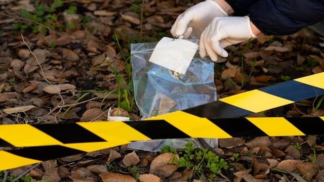 Forensic Science Courses & Qualifications | reed.co.uk