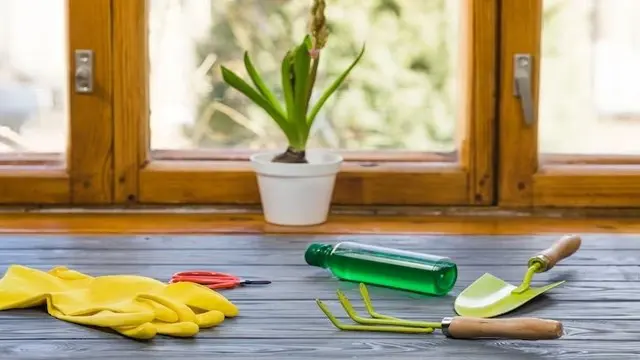 Natural Home Cleaning Essentials