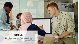 CMI L5 Dip Professional Consulting 2