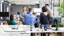 CMI L5 Dip Professional Consulting