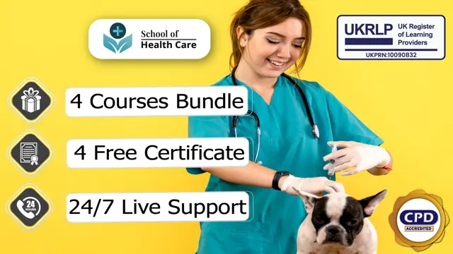 Veterinary Nursing Course - CPD Certified