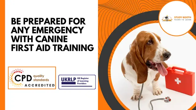 Be Prepared for Any Emergency with Canine First Aid Training (25-in-1 Unique Courses)