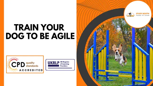 Train Your Dog to be Agile (25-in-1 Unique Courses)