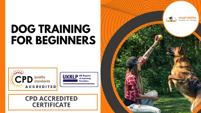 Dog Training for Beginners  (25-in-1 Unique Courses )