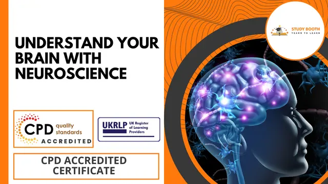 Understand Your Brain With Neuroscience  (25-in-1 Unique Courses)