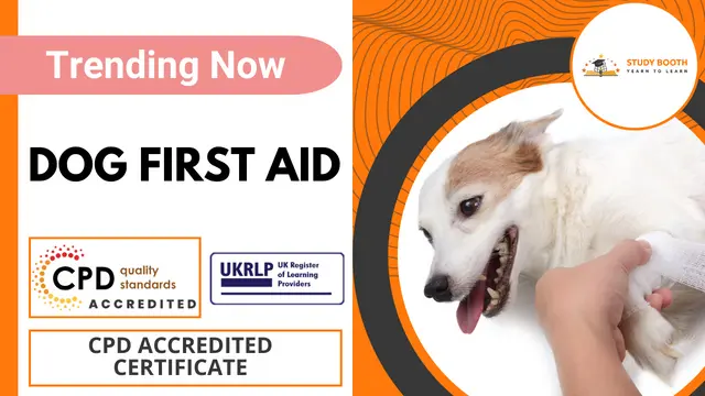 Dog First Aid Courses  (25-in-1 Unique Courses)