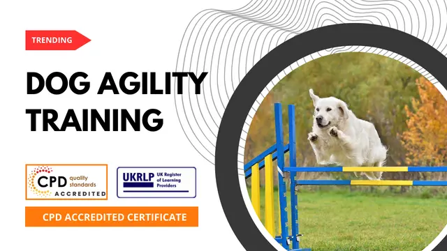 Dog Agility Training Courses  (25-in-1 Unique Courses)