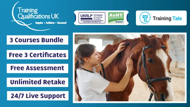 Horse Care & Stable Management Level 3 Course