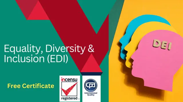 Equality & diversity Courses & Training | reed.co.uk
