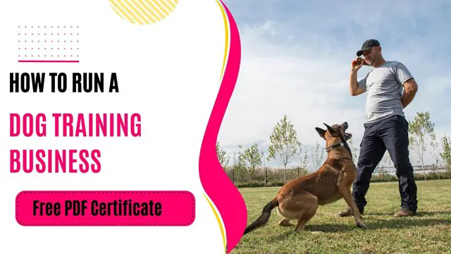 How to Run a Dog Training Business