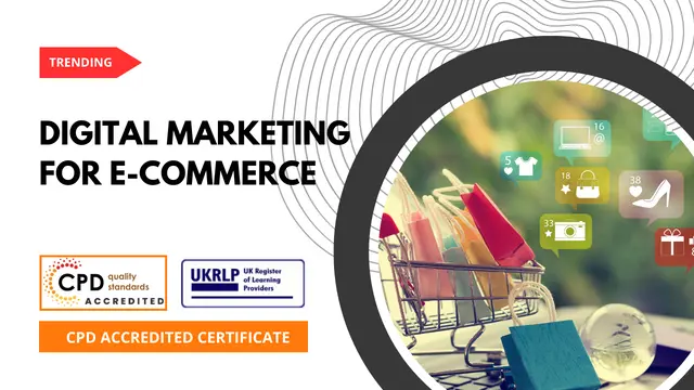 Digital Marketing Strategies for E-Commerce Business (25-in-1 Unique Course)