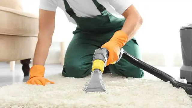 Carpet Cleaner Essentials