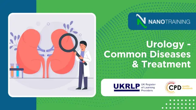 Urology - Common Diseases & Treatment