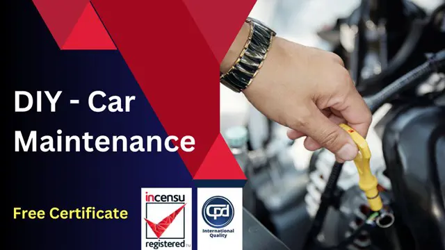 Car maintenance Courses & Training | reed.co.uk