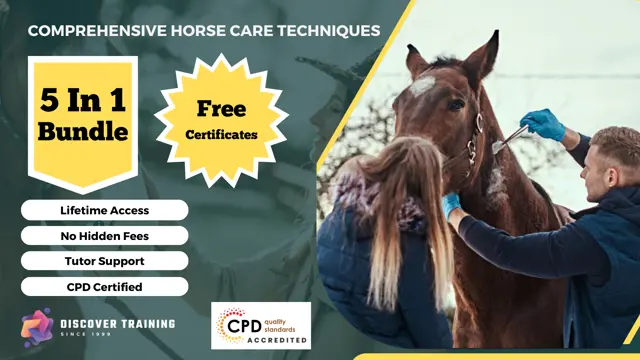 Comprehensive Horse Care Techniques