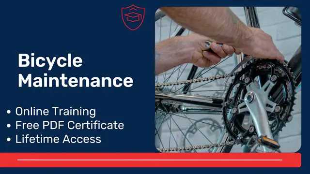 Bicycle Maintenance Training