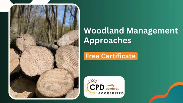 Woodland Management Approaches