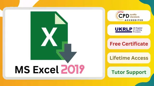 Microsoft Excel Specialist - Advanced Excel Formulas and Functions Course