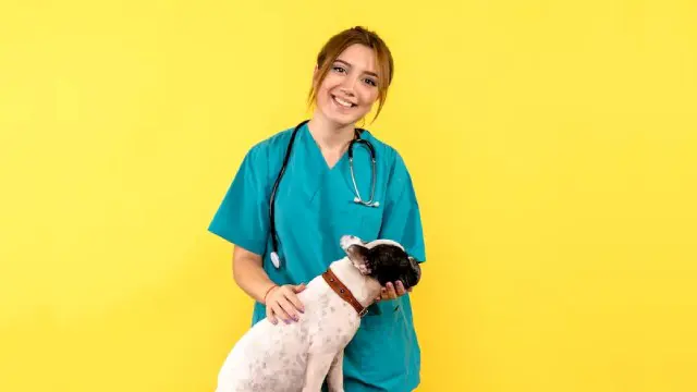 Veterinary Nursing Course