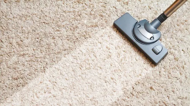 Carpet Cleaner: Spotless Carpets 101