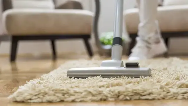 Carpet Cleaner Advanced Diploma