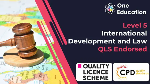 International Development and Law at QLS Level 5
