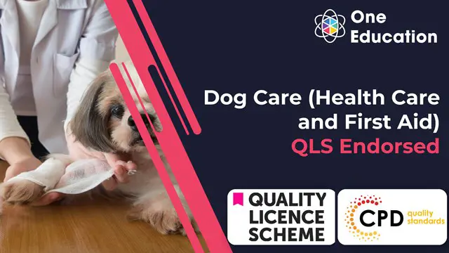 QLS Endorsed Dog Care (Health Care and First Aid)