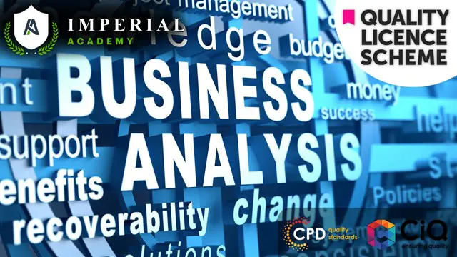 Business Management and Business Analysis Diploma at QLS Level 5 & 7