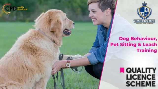 Dog Behaviour, Pet Sitting and Leash Training QLS Endorsed
