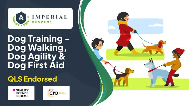 Dog Training - Dog Walking, Dog Agility & Dog First Aid (QLS Endorsed)