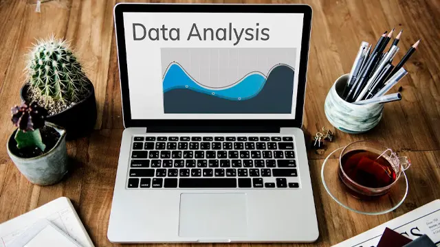 Data Management & Analytics Essentials