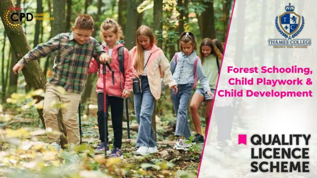Forest Schooling, Child Playwork & Child Development 
