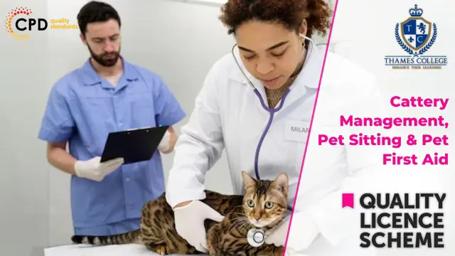 Cattery Management, Pet Sitting & Pet First Aid