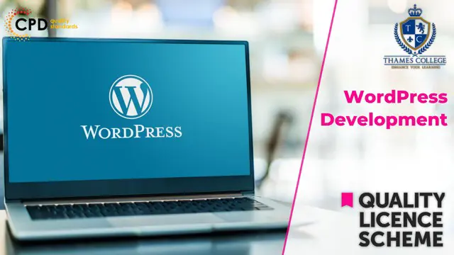 WordPress Development Bundle Endorsed Certificate