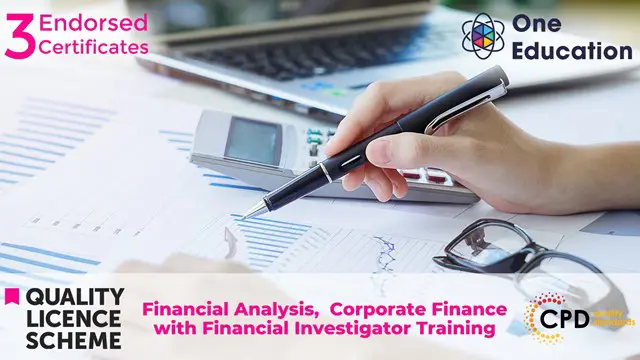 Financial Analysis, Corporate Finance with Financial Investigator Training
