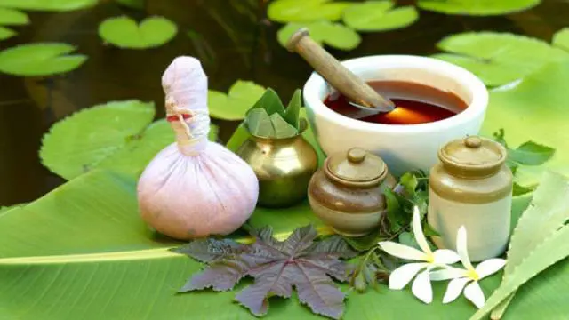 Ayurveda and Herbal Essentials
