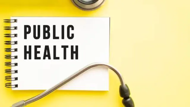 Public Health Consultant Essentials