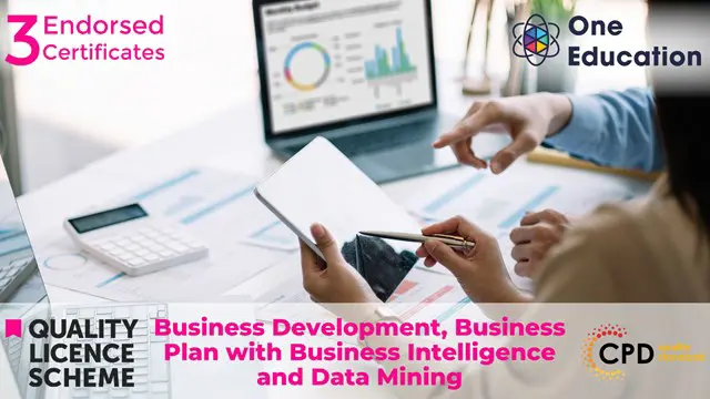 Business Development, Business Plan with Business Intelligence and Data Mining