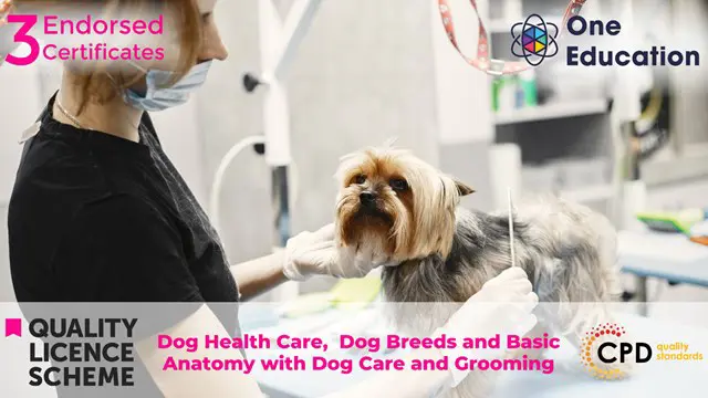 Dog Health Care,  Dog Breeds and Basic Anatomy with Dog Care and Grooming