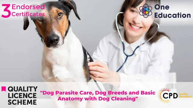 Dog Parasite Care, Dog Breeds and Basic Anatomy with Dog Cleaning